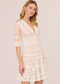 Adrianna Papell Lace Embroidery Dress