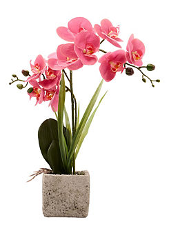 Artificial Dusky Pink Potted Orchid