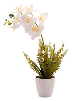 Artificial White Potted Orchid Large