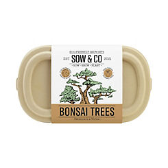 Bonsai Tree Sow & Co
