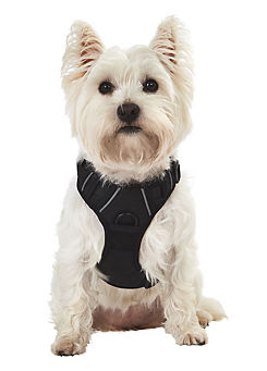 Bunty Black Adventure Harness - Water Resistant & Machine Washable with Adjustable Straps