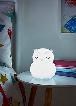 Glow Colour Changing LED Silicone Owl Night Light