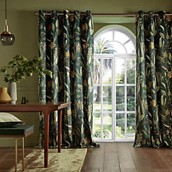Graham & Brown Glasshouse Pair Of Lined Eyelet Curtains