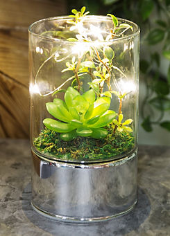 Hestia Glass Tube Terrarium with Artificial Succulents & LEDs 15 cm