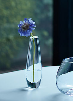 LSA Flower Single Stem Vase - Clear