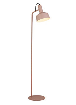 Matt Pink Metal Adjustable Floor Lamp