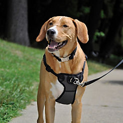 Rosewood Front-Connect Padded Dog Harness