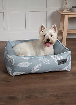 Scruffs Medium Botanical Dog/Cat Box Bed