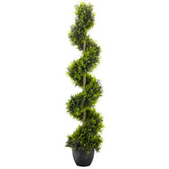 Smart Garden Cypress Topiary Twirl