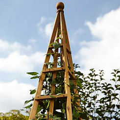 Smart Garden Woodland Obelisk