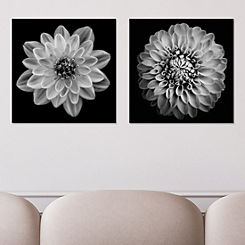 The Art Group Set of 2 Dahlia & Marigold Canvases