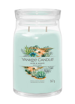Yankee Candle Large Jar Candle - Aloe & Agave