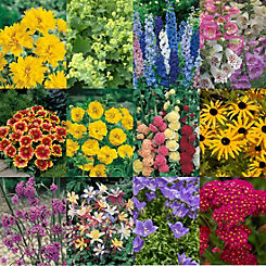 You Garden Pack of 24 Complete Hardy Garden Perennial Collection
