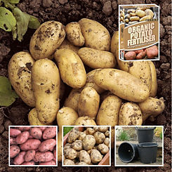 You Garden Patio Potato Grow Kit - 3 Varieties