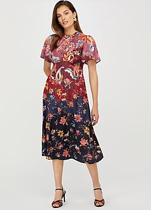 monsoon frieda dress