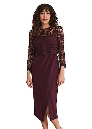 Shop for Phase Eight | Occasion Dresses | Dresses | Fashion | Kaleidoscope