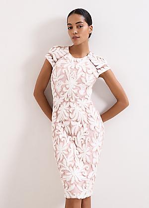 Shop for Phase Eight | Pink | Dresses | Fashion | Kaleidoscope