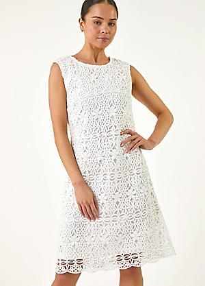 Roman Petite Lace Shift Dress | Kaleidoscope Roman Petite Lace Shift Dress | Kaleidoscope
