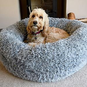 Rosewood cooling outlet dog bed