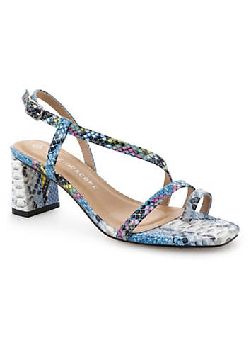 Blue Multi Snake Block Heel Sandals by Kaleidoscope | Kaleidoscope