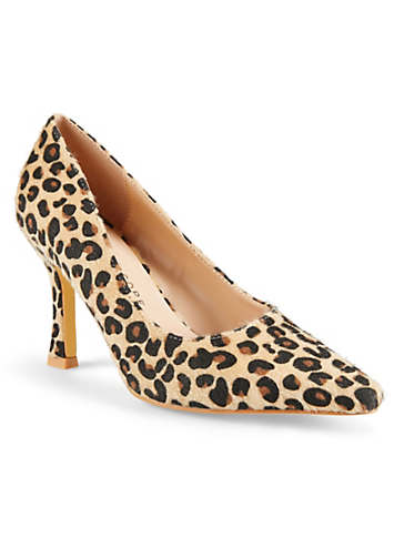 Kaleidoscope Leopard Court Shoes | Kaleidoscope