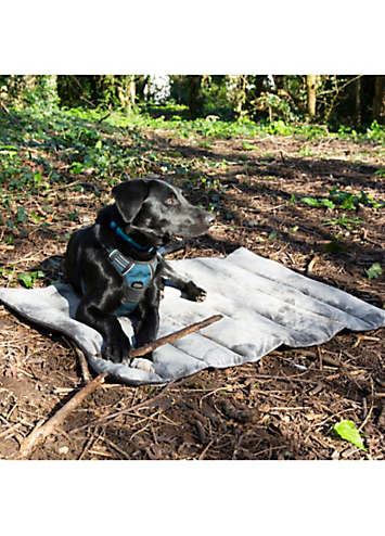 Outdoor dog outlet roll up bed