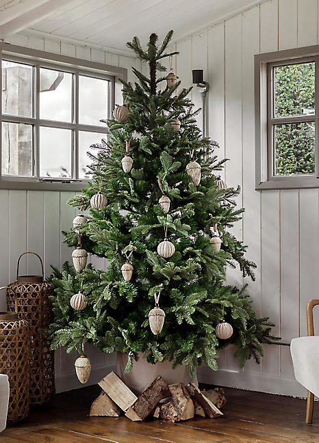 7ft christmas tree discount