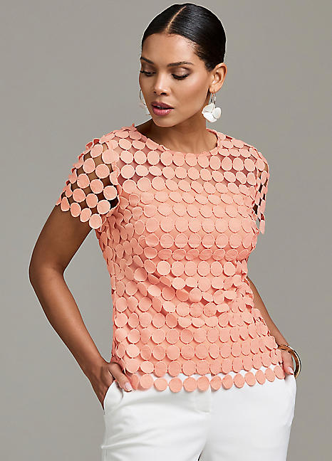 トップス SCULPTOR lace tops Lace Crop Baby Tee Nude Pink – SCULPTOR JAPAN