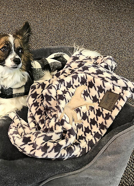 Personalised Dog Custom Pet Blanket Usng Pet Photo Personalzed Dog