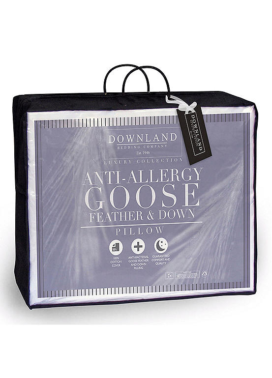 Downland Pair of Goose Feather & Down Anti Allergy Pillows Kaleidoscope