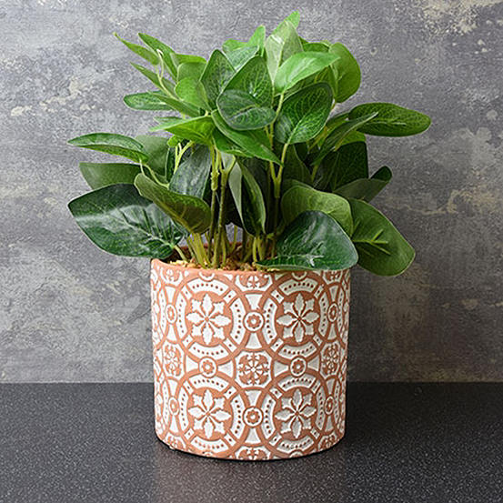 Green Faux Plant in a Cement Pot Kaleidoscope