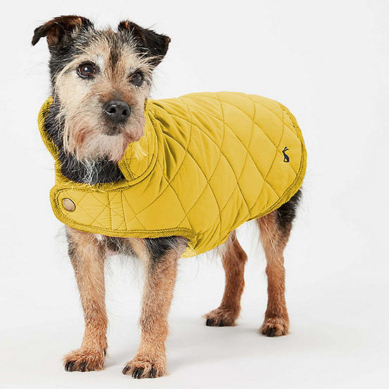 Joules Antique Gold Quilted Dog Coat