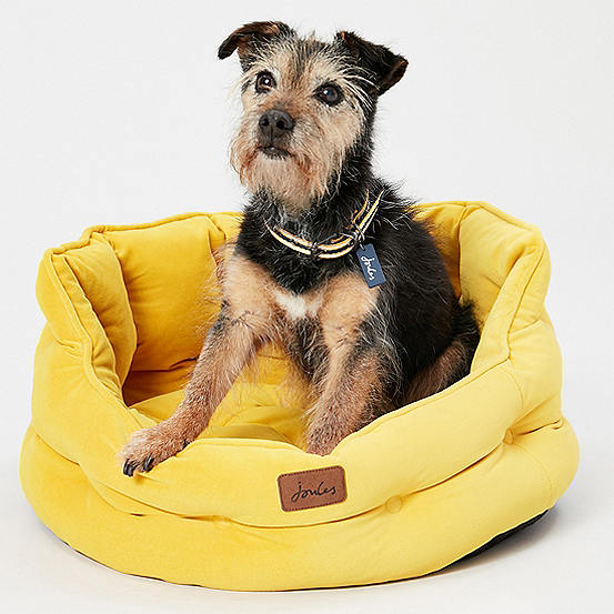 Joules Chesterfield Pet Bed Kaleidoscope