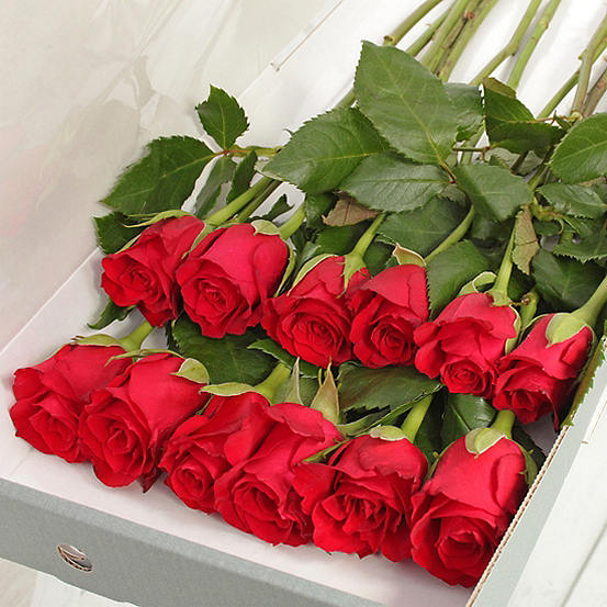 Red Letterbox Roses Flowers with personalised message Kaleidoscope