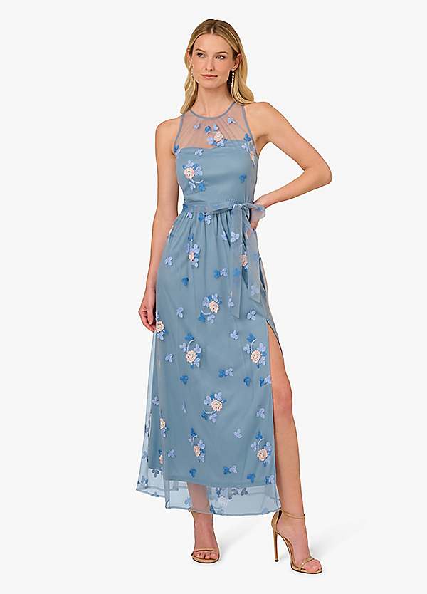 Adrianna Papell Sleeveless Illusion Embroidered Dress