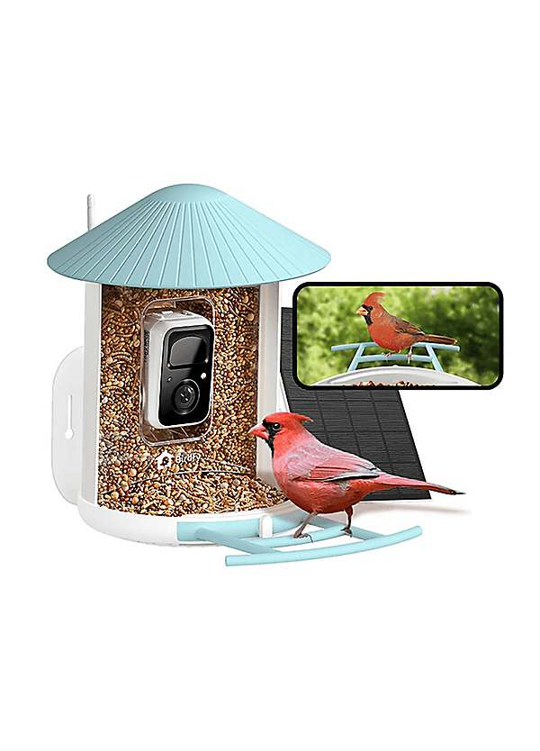 Smart Bird Feeder – Intelligenter Vogelfutterspender Für Den Garten