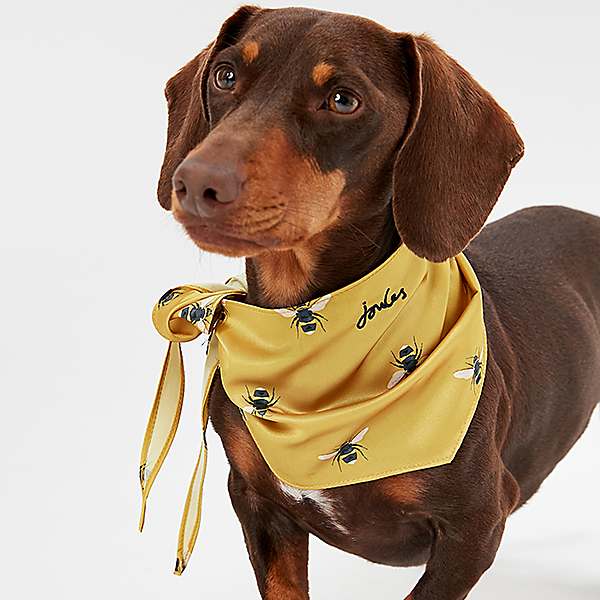 pet neckerchief