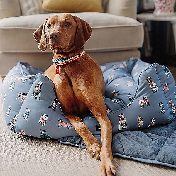 Joules slumber dog outlet bed