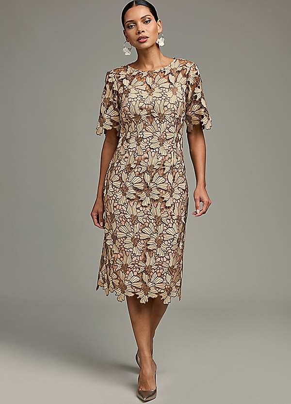 Kaleidoscope Mocha Lace Shift Dress Kaleidoscope