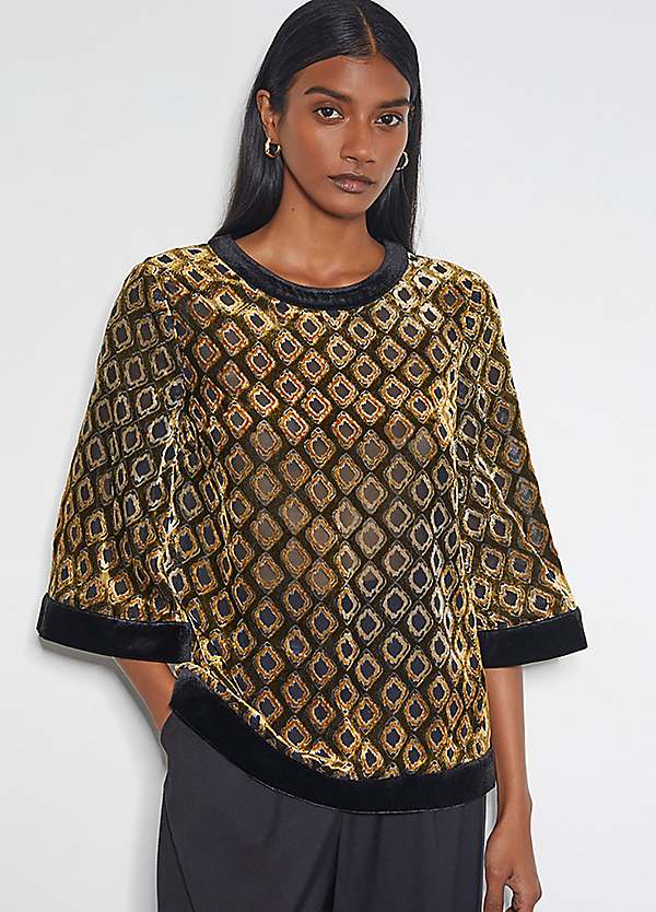 sheer velvet top