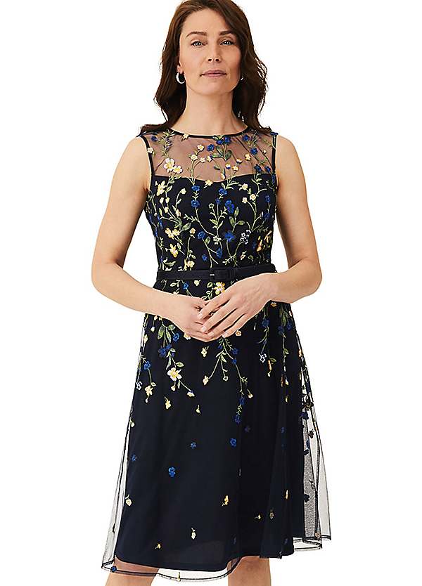 Phase Eight 'Esmeralda' Embroidered Fit Flare Dress Kaleidoscope