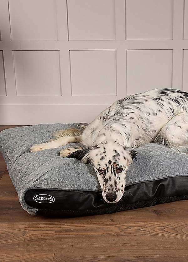 Scruffs memory foam dog sales bed