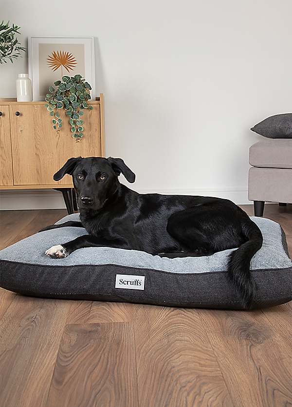 Memory foam shop for dogs