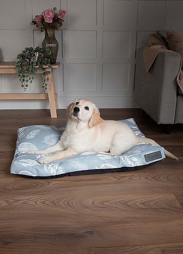 Scruffs dog clearance bed