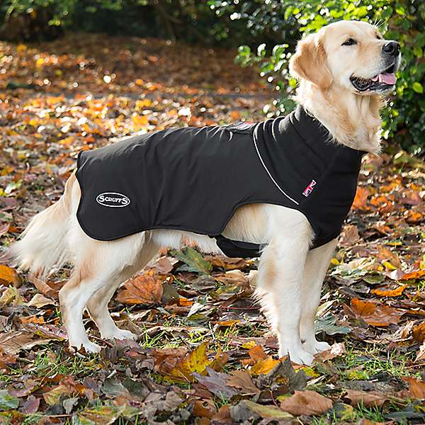 Scruffs Quilted Thermal Dog Coat 