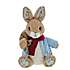Beatrix Potter Peter Rabbit Christmas Large Soft Toy | Kaleidoscope
