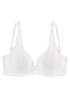 Triumph Amourette Maxi Brief | La Donna Lingerie Lilydale