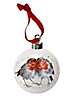 Royal Worcester Wrendale Designs Ornamento Sospeso | Pallina Di Natale Perfetta Con Motivo A Gattino 26 Pollici Realizzato In Fine Bone China O~p115229159